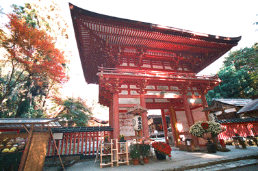滋賀神社挙式　日吉大社